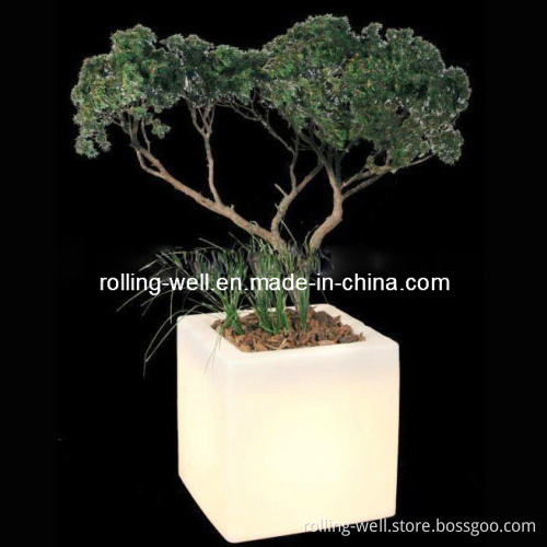 Modern Design Waterproof LED Flower Pot Modern Design Waterproof LED Flower Pot (CE/SGS)